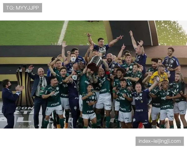 帕尔梅拉斯主场进攻体系解析，多点开花显统治力