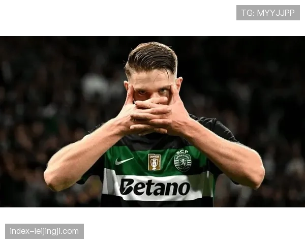 哲凯赖什射门区域分布合理 阿森纳锋线攻击手段呈现立体化特征 哲凯赖什射门区域分布合理 阿森纳锋线攻击手段呈现立体化特征