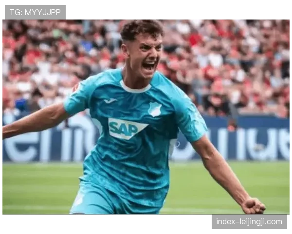 霍芬海姆4月主场VAR两次介入判罚点球 定位球防守成多特失利直接导火索